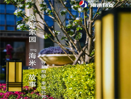 【有獎?wù)魑摹恐戮春Ｍㄎ飿I(yè)保潔員